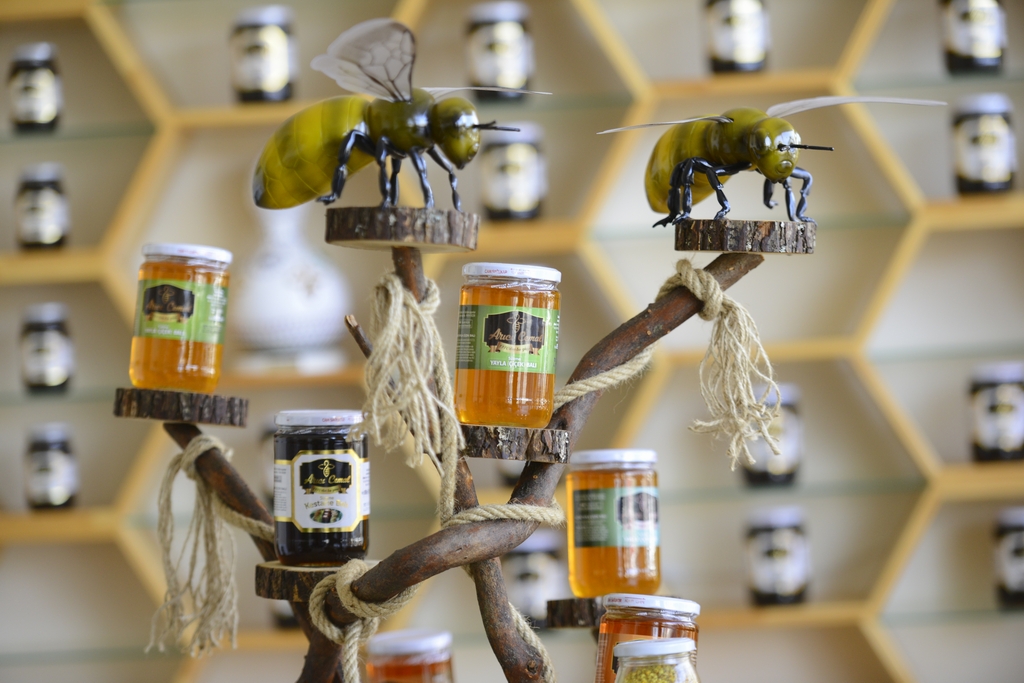 Arıcı Cemal-Organik Bal ve Arı Ürünleri