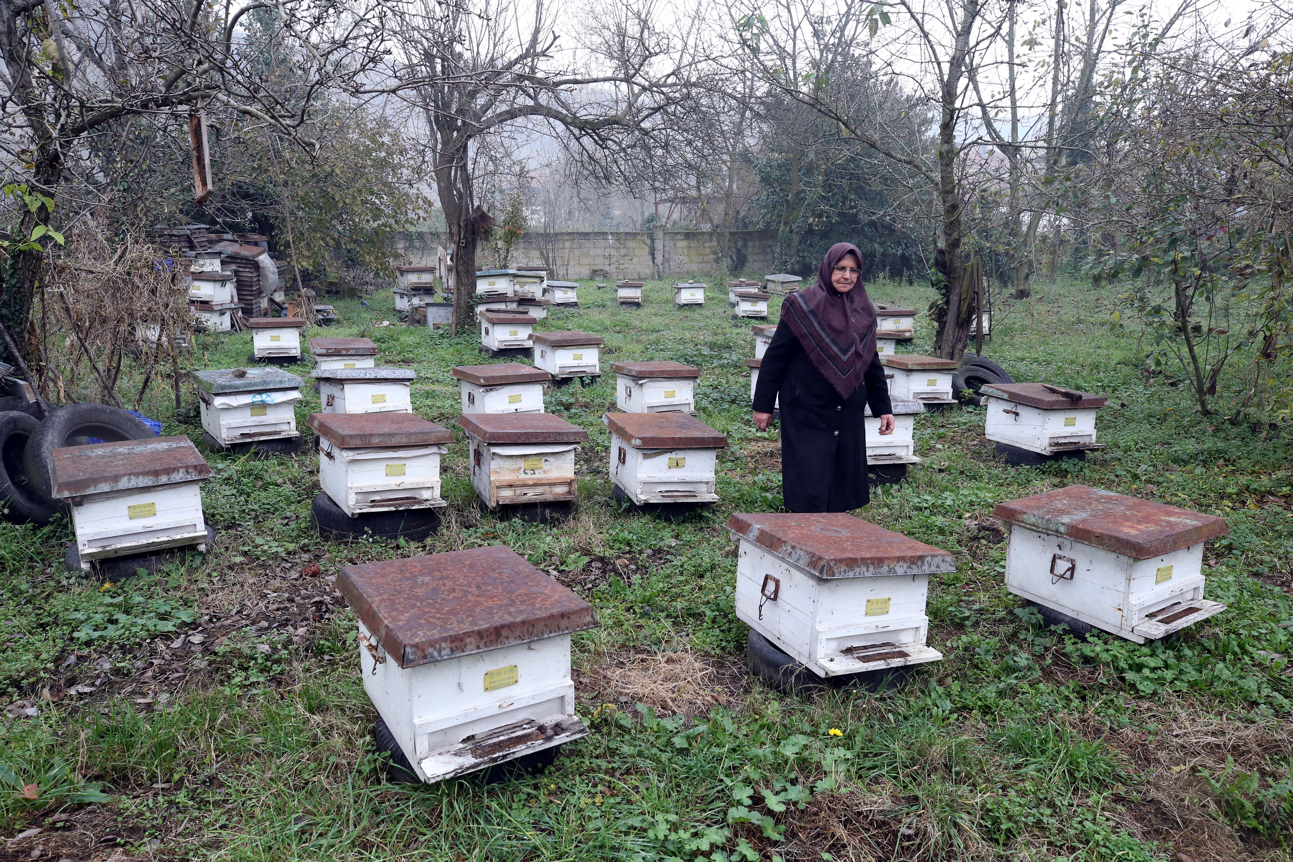 Hanife Korkmaz Kaynaşlı Balcı